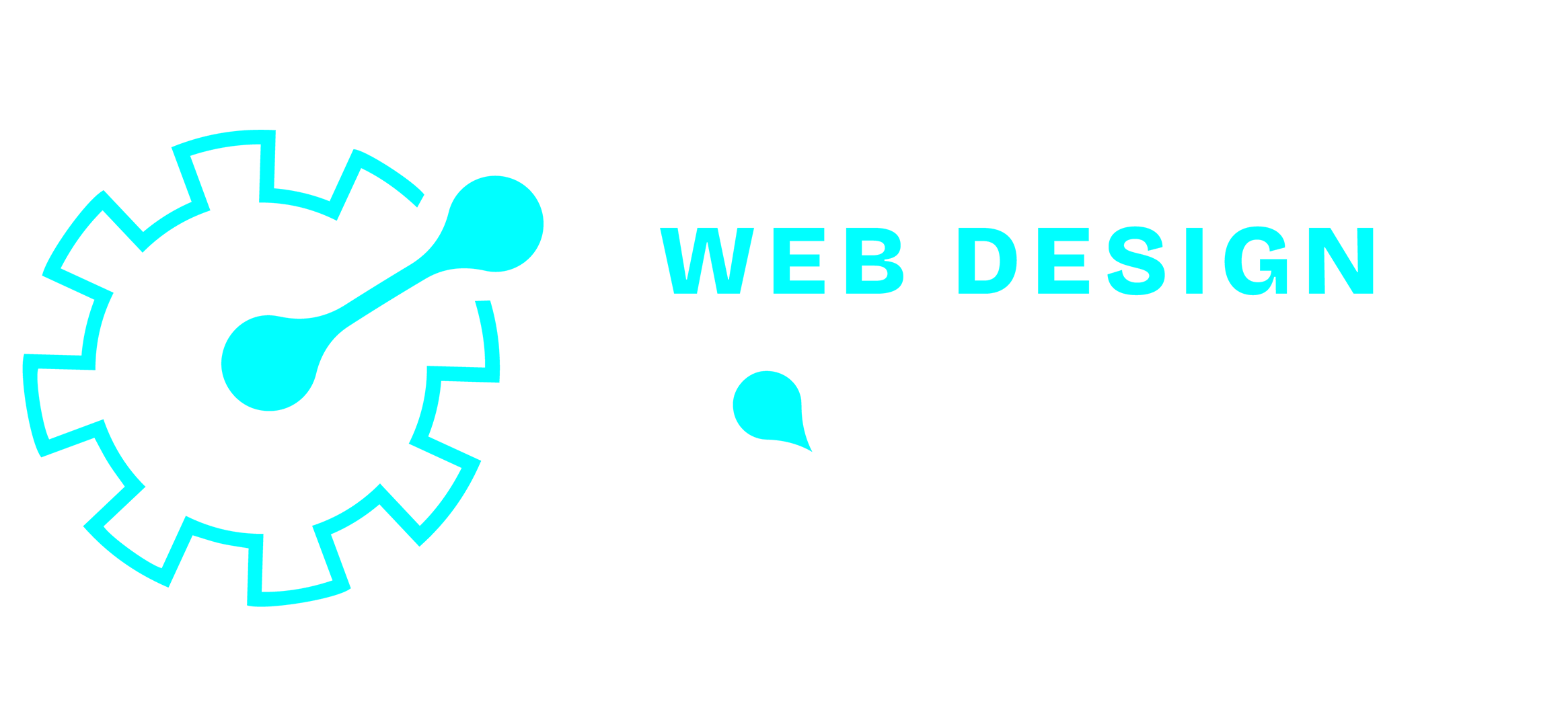 Web Design Torque